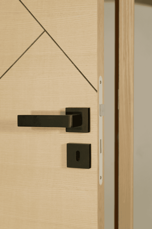 ANTLIA V2 - Bloc porte isoplane en frêne